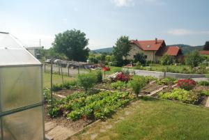 Dilce 5 (8)